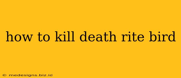 how to kill death rite bird