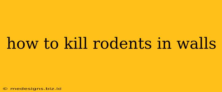 how to kill rodents in walls
