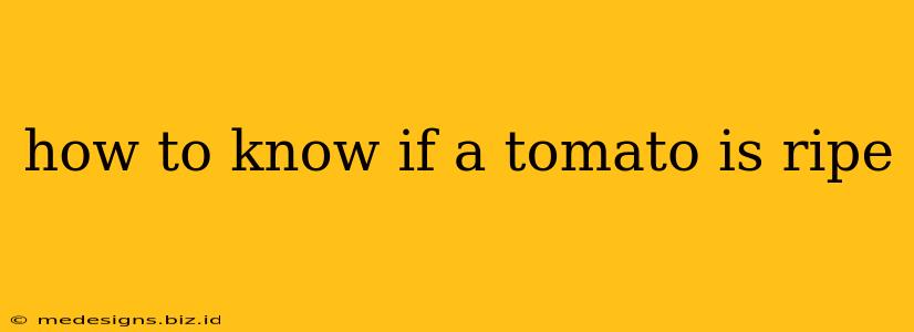 how to know if a tomato is ripe
