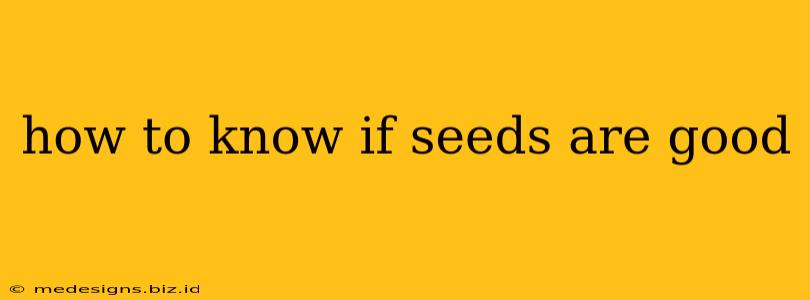 how to know if seeds are good