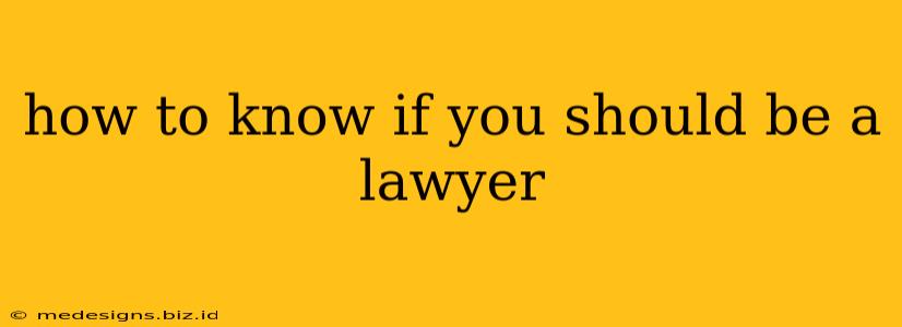 how to know if you should be a lawyer