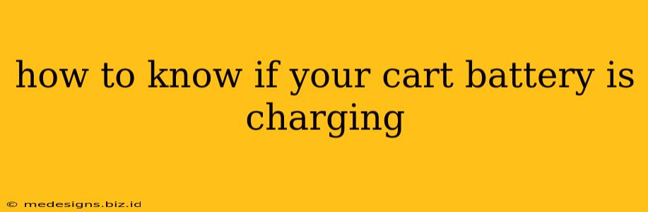 how to know if your cart battery is charging