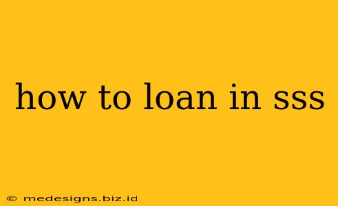 how to loan in sss