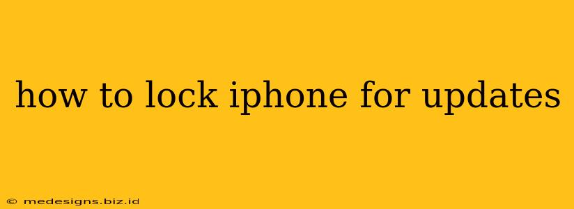 how to lock iphone for updates