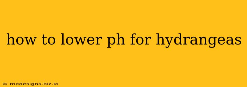 how to lower ph for hydrangeas