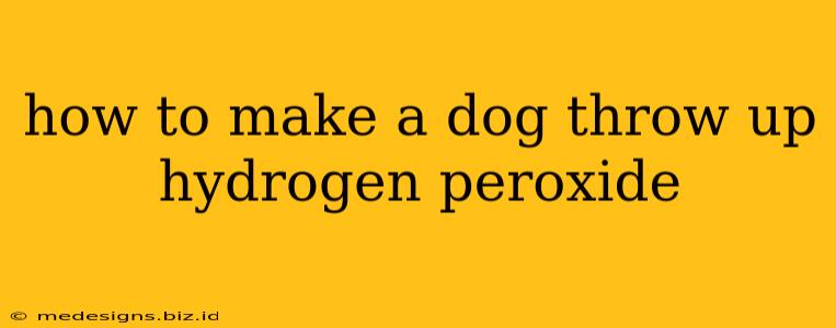 how to make a dog throw up hydrogen peroxide