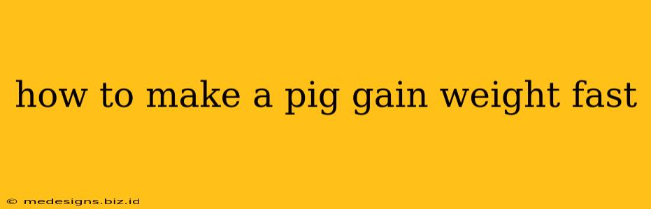 how to make a pig gain weight fast