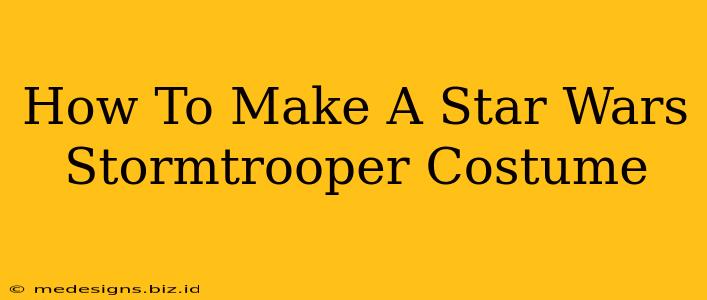 How To Make A Star Wars Stormtrooper Costume