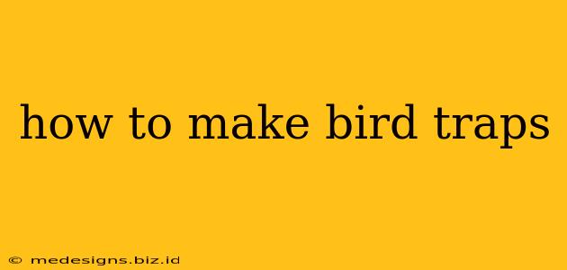 how to make bird traps