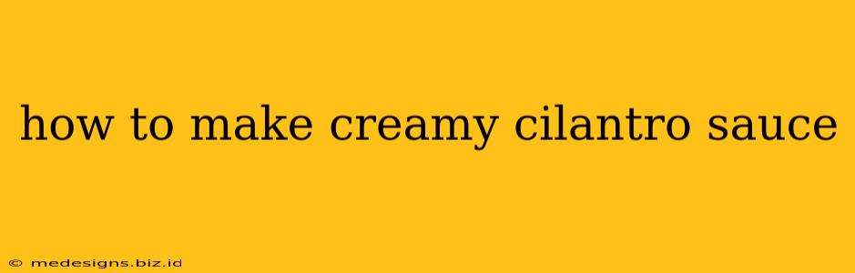 how to make creamy cilantro sauce