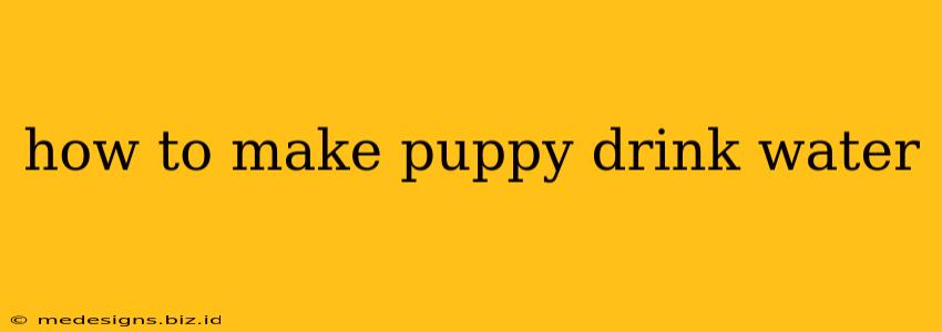 how to make puppy drink water