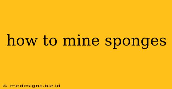 how to mine sponges