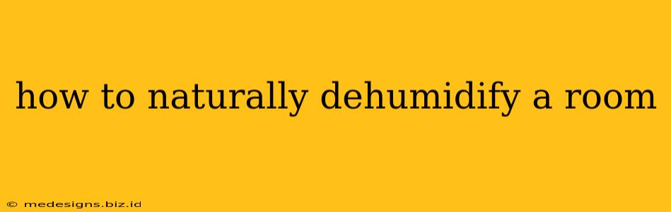how to naturally dehumidify a room