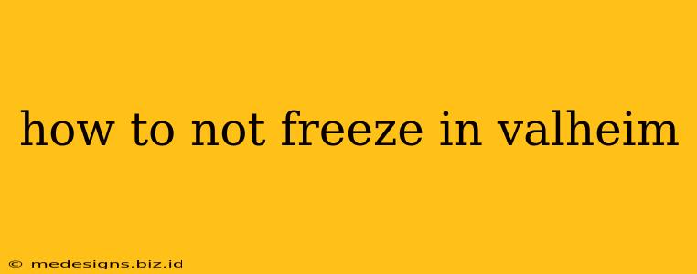 how to not freeze in valheim