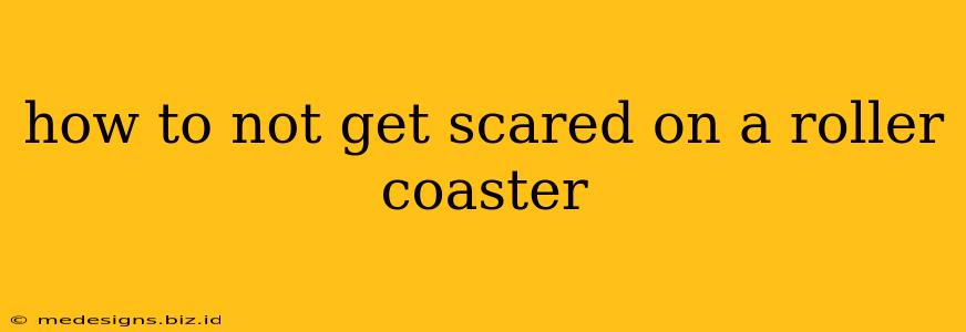 how to not get scared on a roller coaster