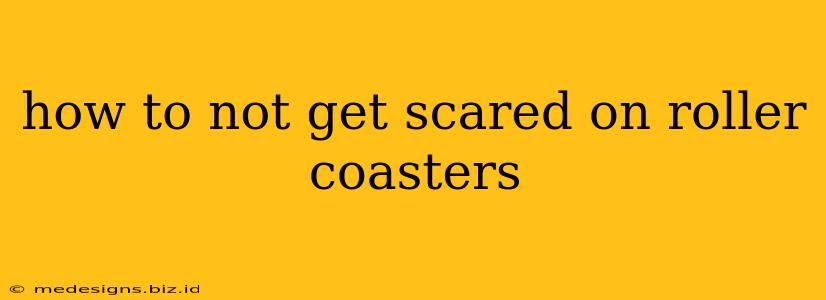 how to not get scared on roller coasters