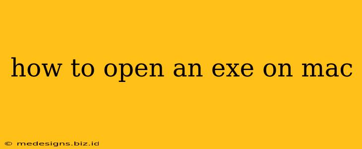 how to open an exe on mac