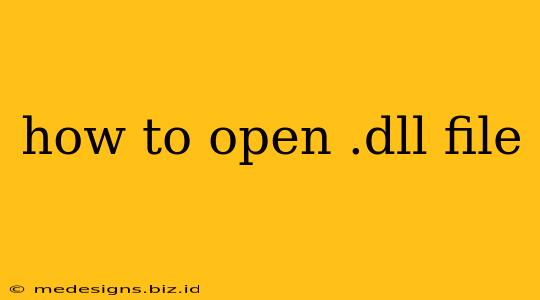 how to open .dll file