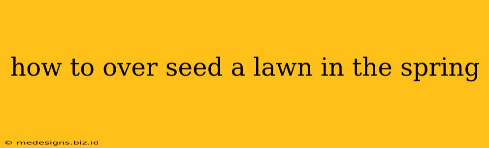 how to over seed a lawn in the spring