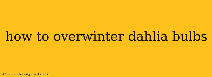 how to overwinter dahlia bulbs