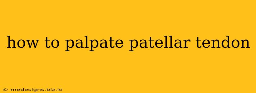 how to palpate patellar tendon