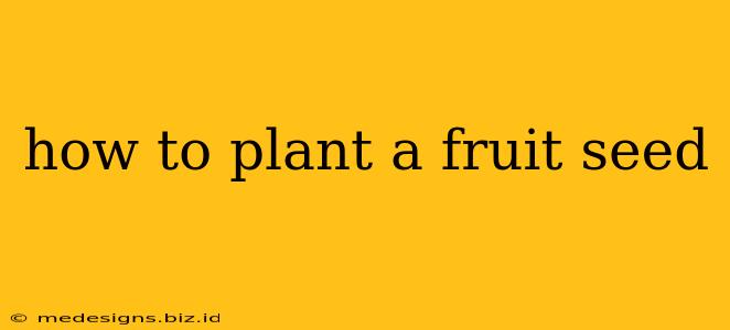 how to plant a fruit seed