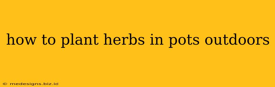 how to plant herbs in pots outdoors