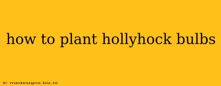 how to plant hollyhock bulbs