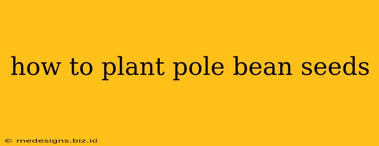 how to plant pole bean seeds