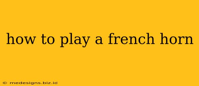 how to play a french horn