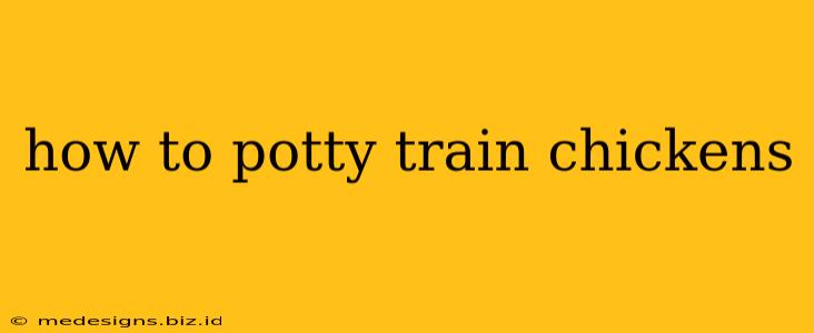 how to potty train chickens