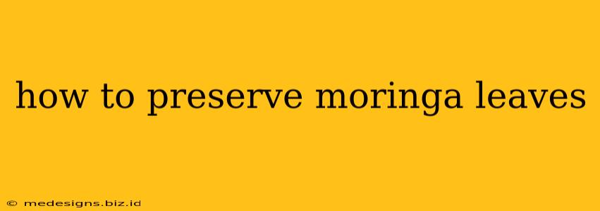 how to preserve moringa leaves