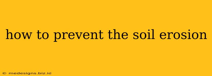 how to prevent the soil erosion