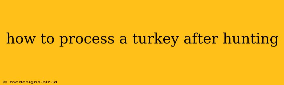 how to process a turkey after hunting