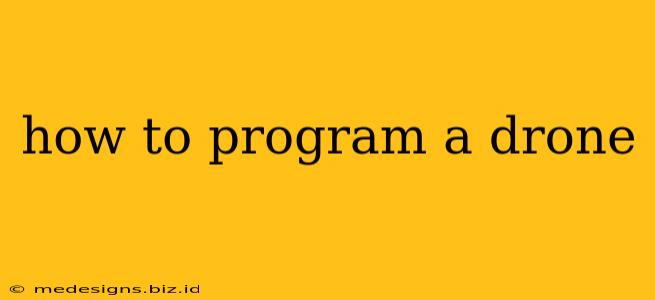 how to program a drone