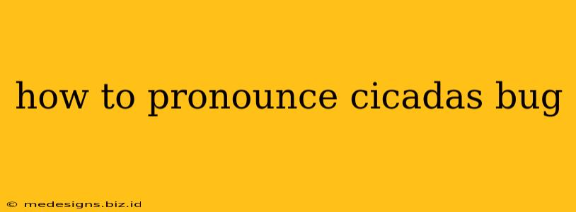 how to pronounce cicadas bug