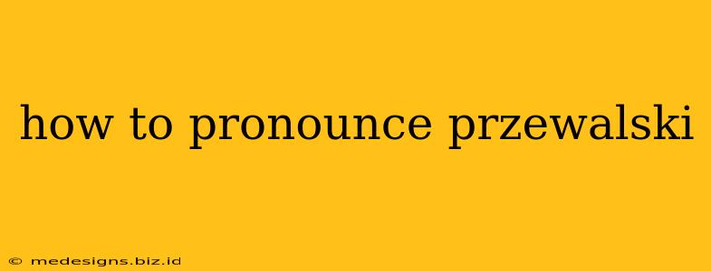 how to pronounce przewalski