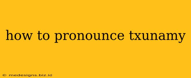 how to pronounce txunamy
