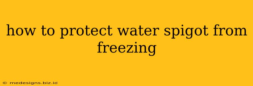 how to protect water spigot from freezing