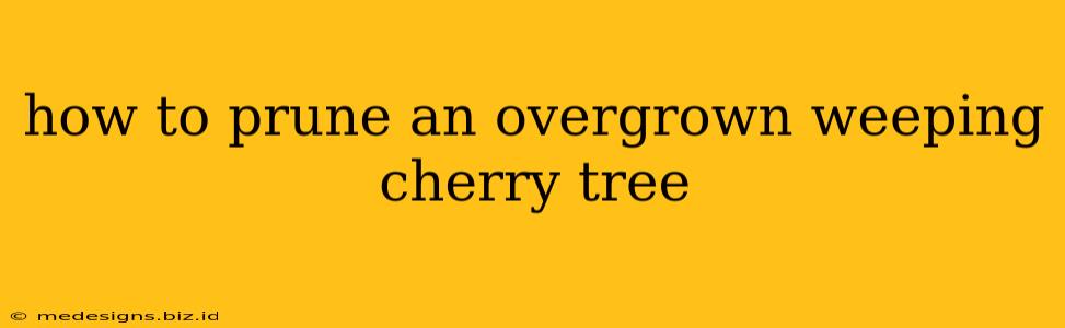 how to prune an overgrown weeping cherry tree