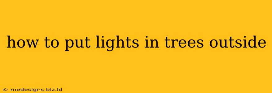 how to put lights in trees outside