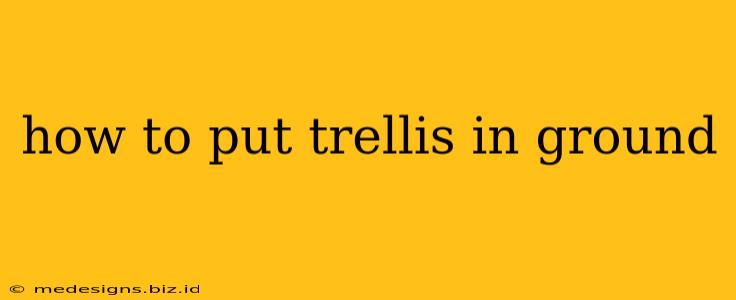 how to put trellis in ground