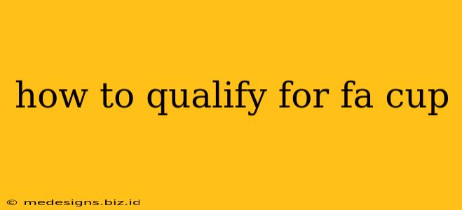 how to qualify for fa cup
