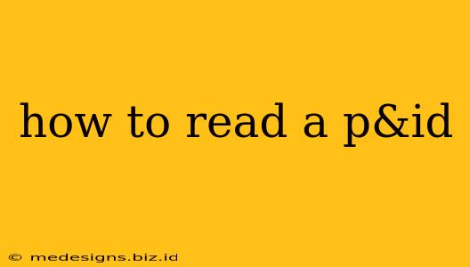 how to read a p&id