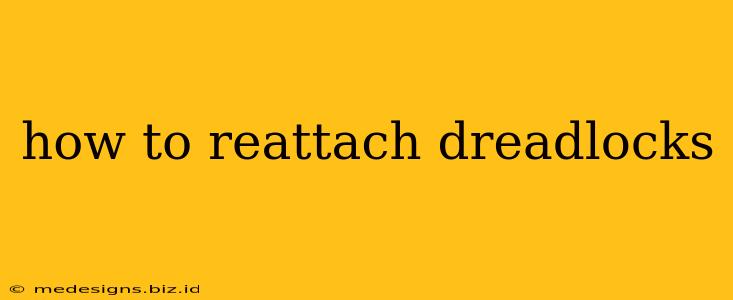 how to reattach dreadlocks