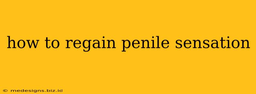 how to regain penile sensation