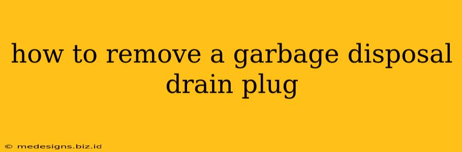 how to remove a garbage disposal drain plug