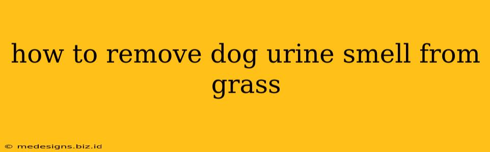 how to remove dog urine smell from grass