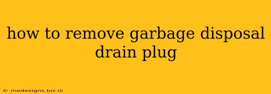 how to remove garbage disposal drain plug