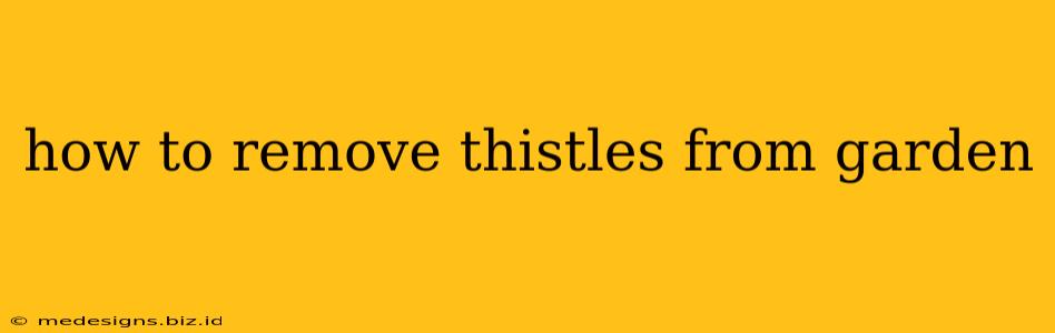 how to remove thistles from garden